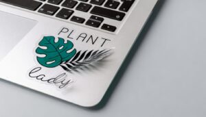 5 Best Transparent Stickers for your Business - In 2023 1