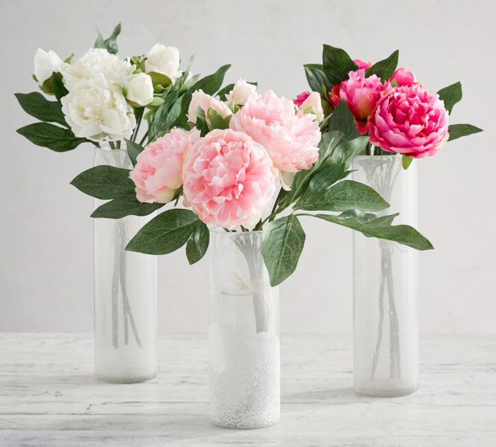 7 Best Flowers for Your Living Room Table - 2023 Guide 1