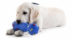5 Best Dog Chew Toy For Aggressive Chewers 2023 - Buying Guide 6