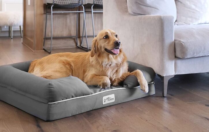 5 Tips For Choosing The Perfect Bed For Your Dog - 2024 Guide 2