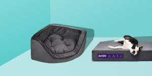 5 Tips For Choosing The Perfect Bed For Your Dog - 2023 Guide 4