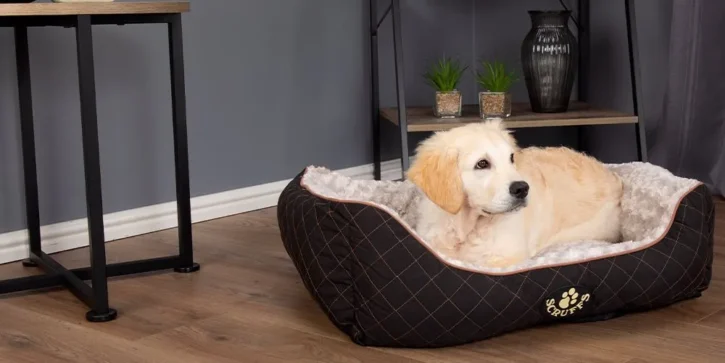5 Tips For Choosing The Perfect Bed For Your Dog - 2022 Guide 4