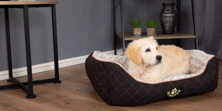 5 Tips For Choosing The Perfect Bed For Your Dog - 2024 Guide 4