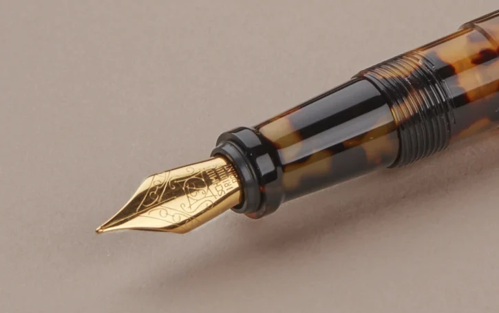 5 Best Fountain Pens To Add Style To Your Desk 1