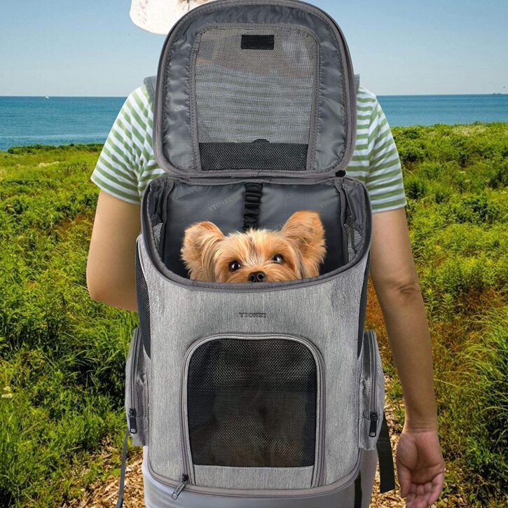 3 Best Puppy Backpack for Hiking - 2024 Guide 2