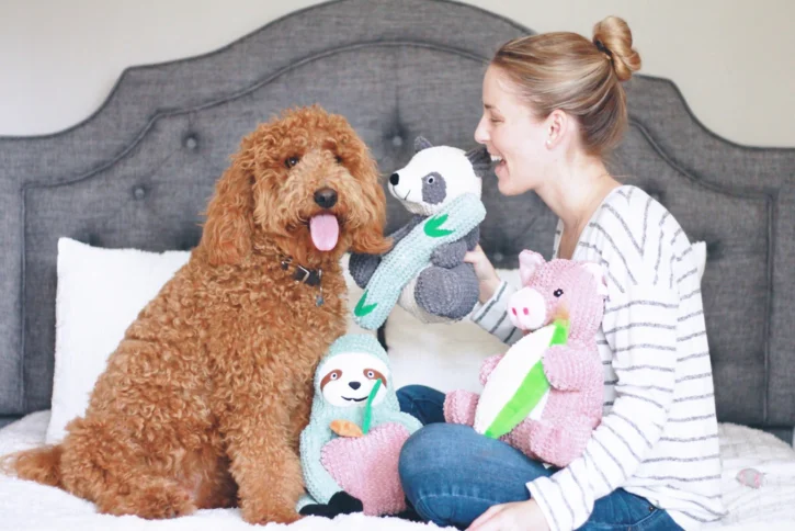 5 Best Dog Chew Toy For Aggressive Chewers 2024 - Buying Guide 6