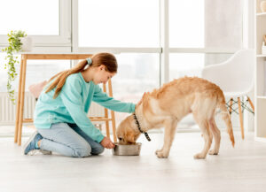 Top 6 Healthiest Dog Treats According to Veterinarians 2023 8