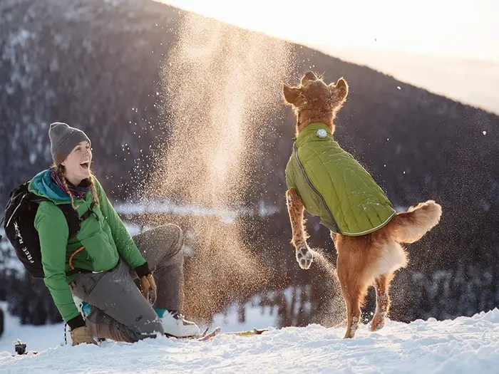 Do Puppies Need Coats In Cold Weather? 2