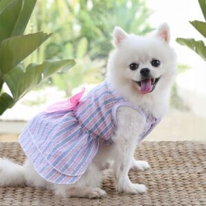 6 Best Dog Clothes for Small Dogs 2023 - Buying Guide 1