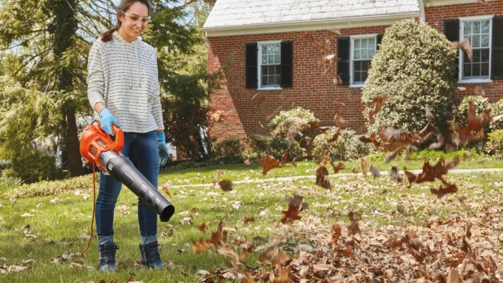 Top 5 Garden Landscaping Tools – 2024 Buying Guide 1