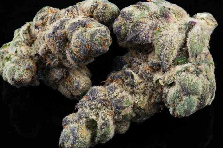 What Does Animal Cookies Strain Smell Like - 2024 Guide 2