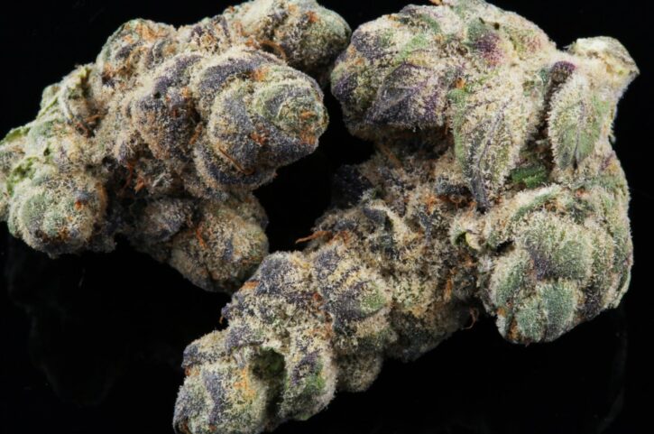 What Does Animal Cookies Strain Smell Like - 2024 Guide 27